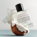 50ml perfume bottle of Wedding in Oaxaca in a coconut with a white rose. 