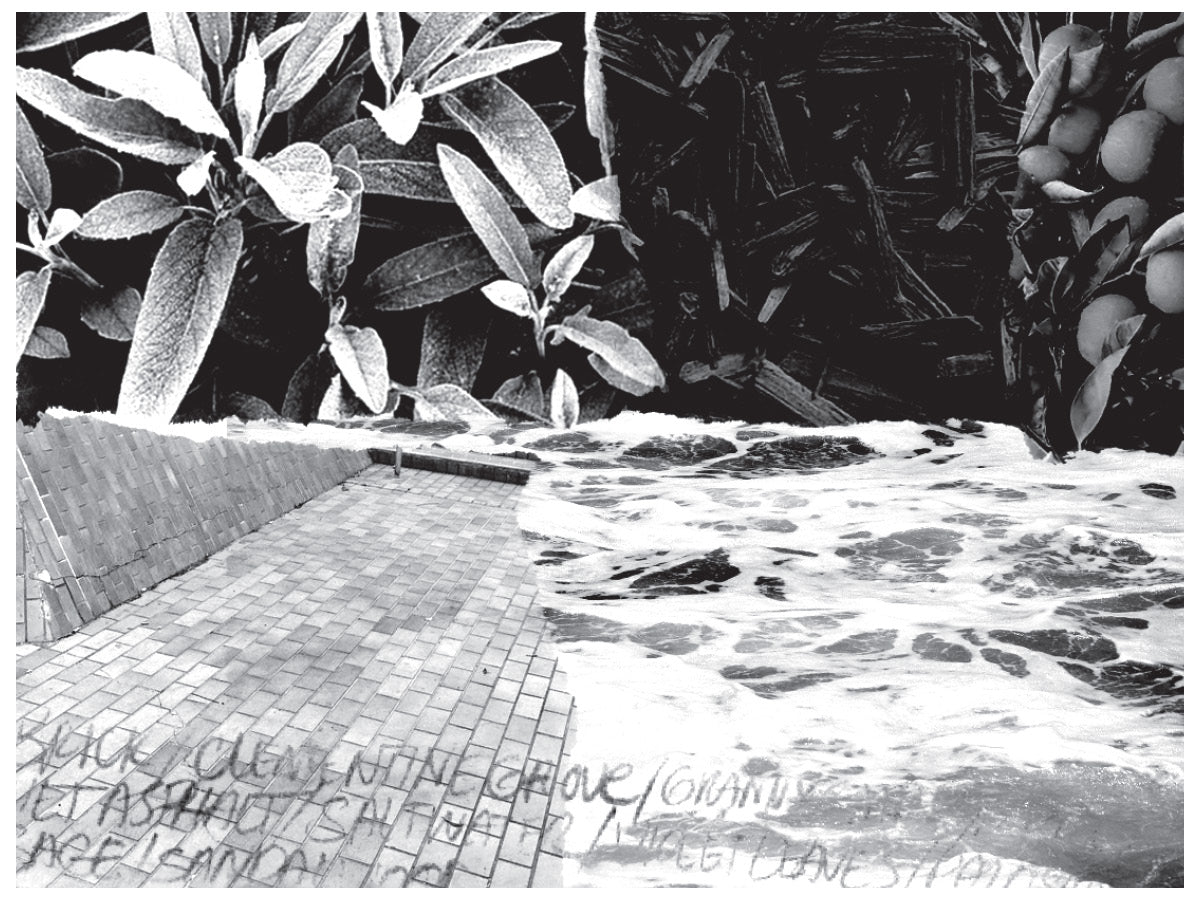 Close-up of a textured surface with plants in the background