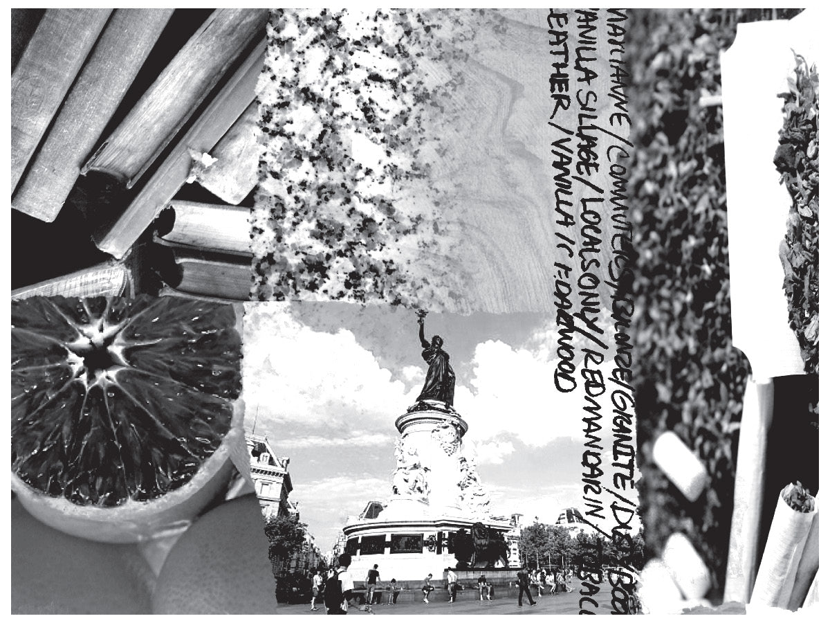 Collage of various images including books, a lime, a statue, and text.