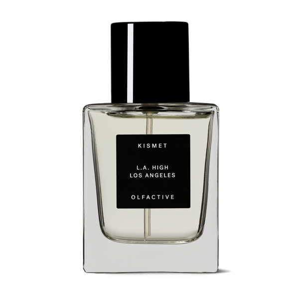 Anine Bing Savage Rose Perfume Oil High (Los Angeles) – Kismet